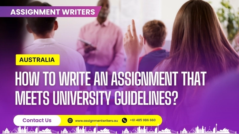 How to Write an Assignment That Meets University Guidelines